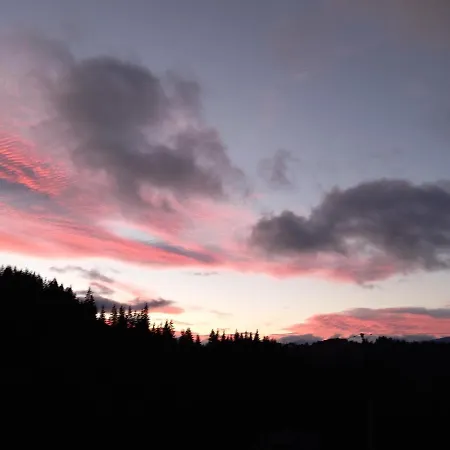 Guest house Dream House Yablunytsya