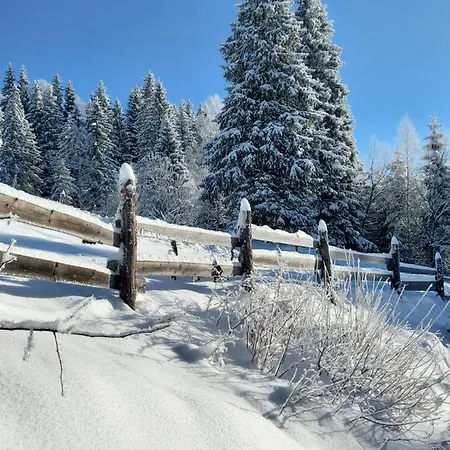 Dream House Guest house