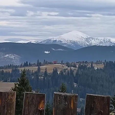 Guest house Dream House