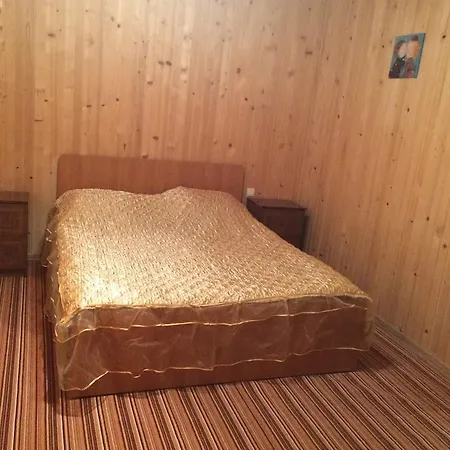 Dream House Guest house Yablunytsya