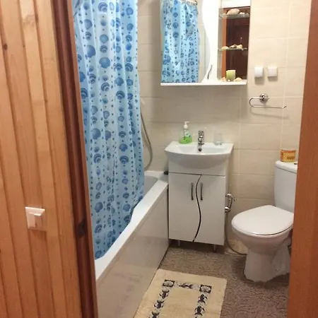 Dream House Guest house Yablunytsya