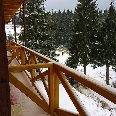 Гостевой дом Dream House Яблоница
