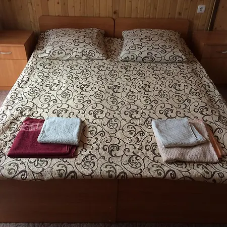 Dream House Guest house Yablunytsya