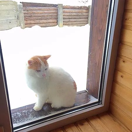 Guest house Dream House 3*