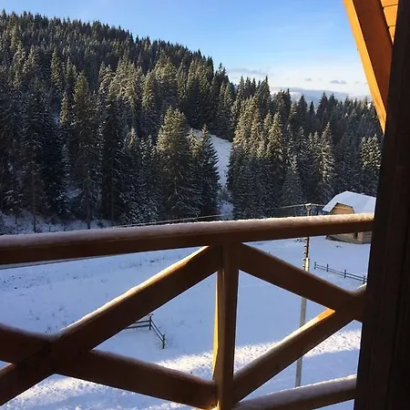 Guest house Dream House Yablunytsya