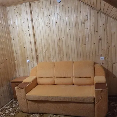 Guest house Dream House Yablunytsya