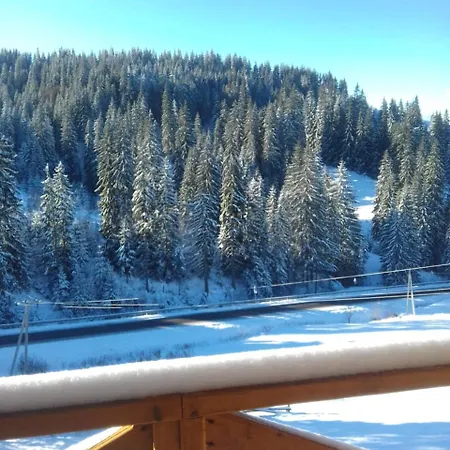 Guest house Dream House Yablunytsya